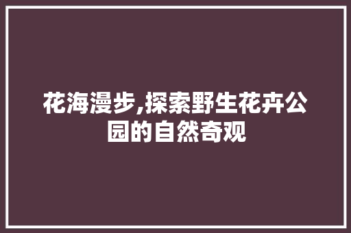 花海漫步,探索野生花卉公园的自然奇观