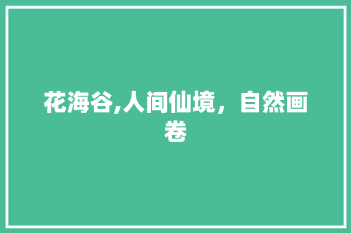 花海谷,人间仙境，自然画卷