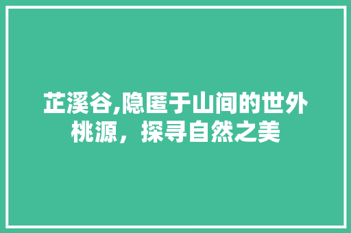 芷溪谷,隐匿于山间的世外桃源，探寻自然之美