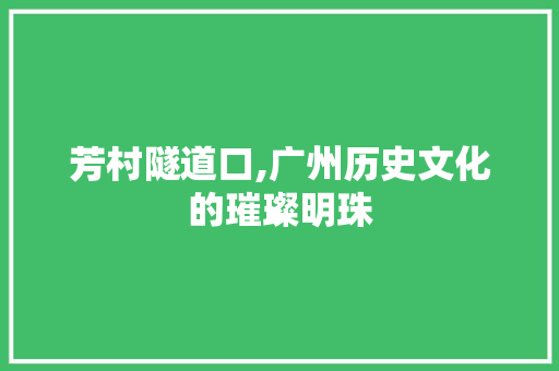 芳村隧道口,广州历史文化的璀璨明珠