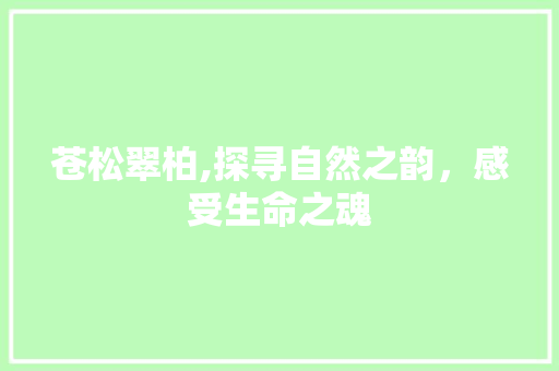 苍松翠柏,探寻自然之韵，感受生命之魂