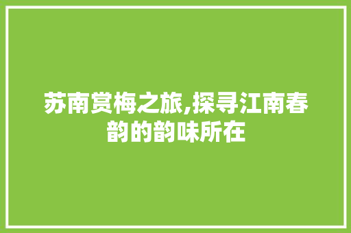 苏南赏梅之旅,探寻江南春韵的韵味所在