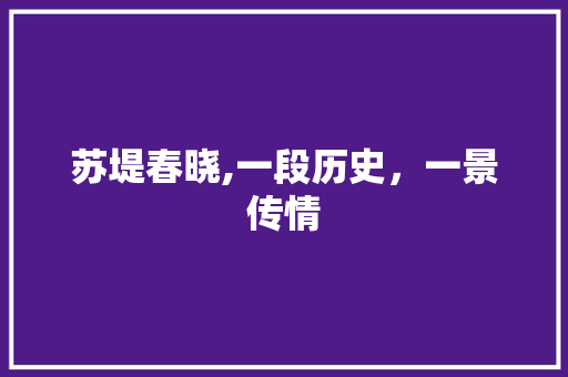 苏堤春晓,一段历史，一景传情