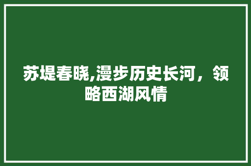 苏堤春晓,漫步历史长河，领略西湖风情