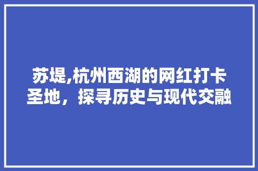 苏堤,杭州西湖的网红打卡圣地，探寻历史与现代交融的魅力