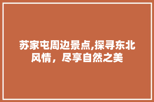 苏家屯周边景点,探寻东北风情，尽享自然之美  第1张