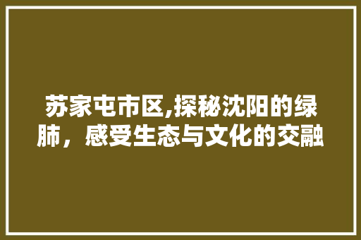 苏家屯市区,探秘沈阳的绿肺，感受生态与文化的交融