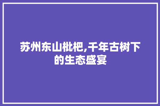 苏州东山枇杷,千年古树下的生态盛宴