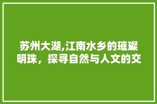 苏州大湖,江南水乡的璀璨明珠，探寻自然与人文的交融之美