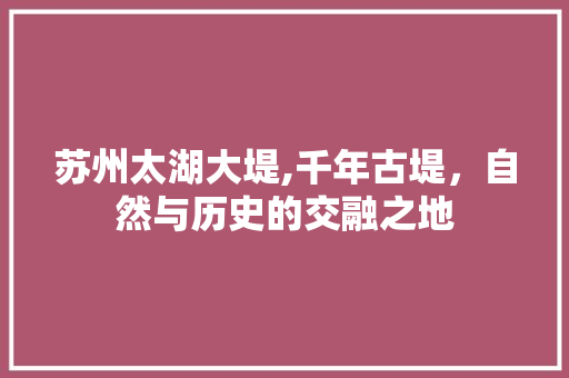 苏州太湖大堤,千年古堤，自然与历史的交融之地