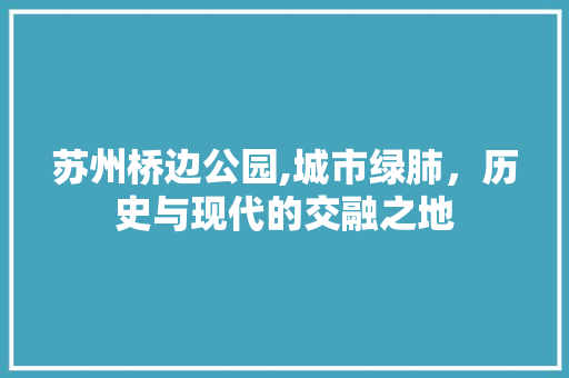 苏州桥边公园,城市绿肺，历史与现代的交融之地