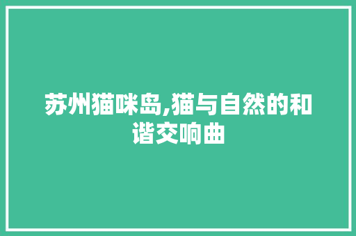 苏州猫咪岛,猫与自然的和谐交响曲