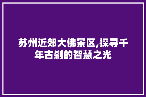 苏州近郊大佛景区,探寻千年古刹的智慧之光