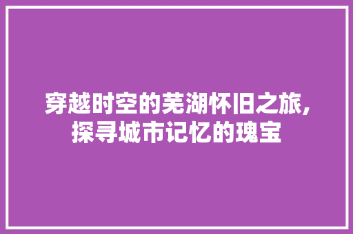 穿越时空的芜湖怀旧之旅,探寻城市记忆的瑰宝