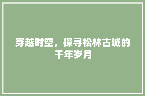 穿越时空，探寻松林古城的千年岁月