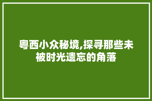 粤西小众秘境,探寻那些未被时光遗忘的角落