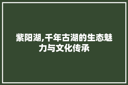 紫阳湖,千年古湖的生态魅力与文化传承