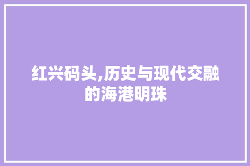 红兴码头,历史与现代交融的海港明珠