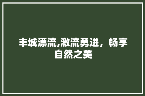 丰城漂流,激流勇进，畅享自然之美