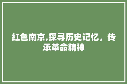 红色南京,探寻历史记忆，传承革命精神