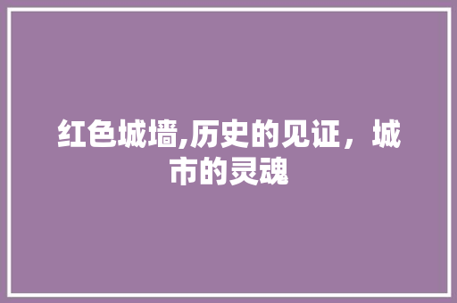 红色城墙,历史的见证，城市的灵魂