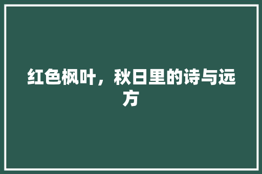 红色枫叶，秋日里的诗与远方