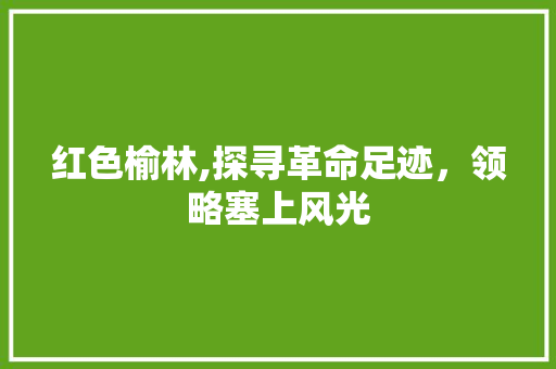 红色榆林,探寻革命足迹，领略塞上风光