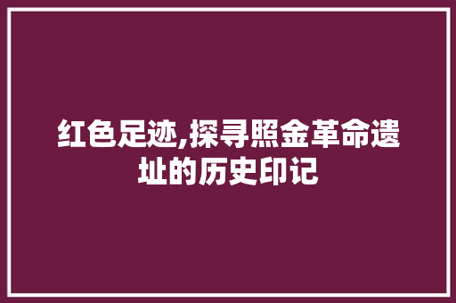 红色足迹,探寻照金革命遗址的历史印记