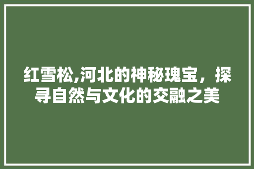 红雪松,河北的神秘瑰宝，探寻自然与文化的交融之美