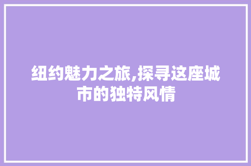 纽约魅力之旅,探寻这座城市的独特风情