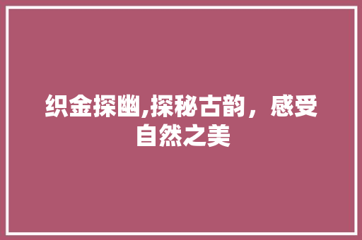 织金探幽,探秘古韵，感受自然之美