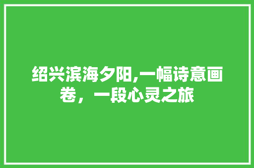 绍兴滨海夕阳,一幅诗意画卷，一段心灵之旅  第1张