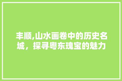 丰顺,山水画卷中的历史名城，探寻粤东瑰宝的魅力