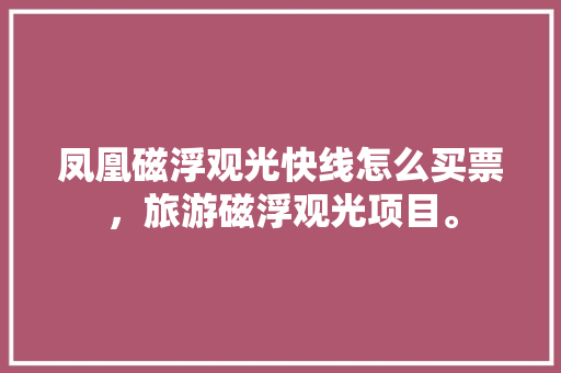 凤凰磁浮观光快线怎么买票，旅游磁浮观光项目。