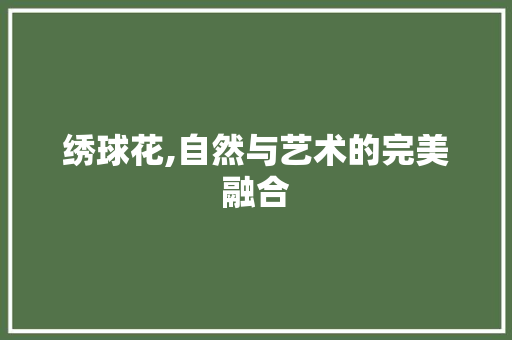 绣球花,自然与艺术的完美融合