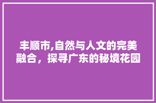 丰顺市,自然与人文的完美融合，探寻广东的秘境花园