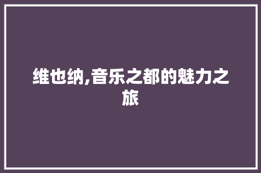 维也纳,音乐之都的魅力之旅