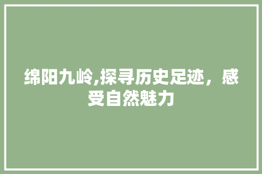 绵阳九岭,探寻历史足迹，感受自然魅力  第1张