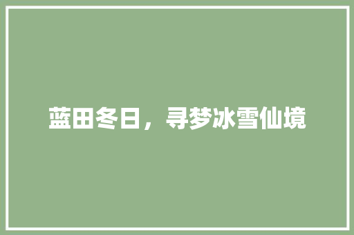 蓝田冬日，寻梦冰雪仙境