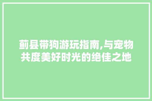 蓟县带狗游玩指南,与宠物共度美好时光的绝佳之地