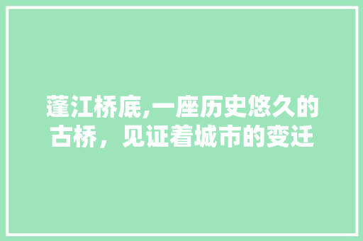 蓬江桥底,一座历史悠久的古桥，见证着城市的变迁