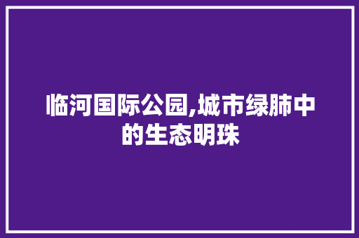 临河国际公园,城市绿肺中的生态明珠