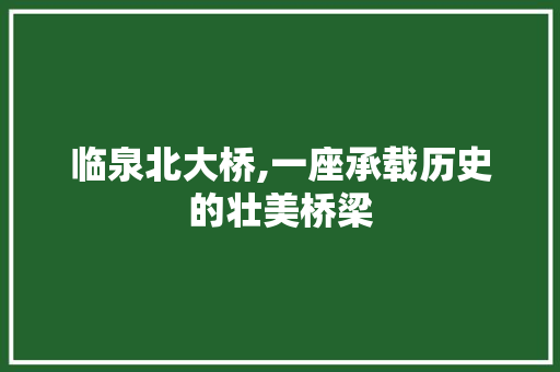 临泉北大桥,一座承载历史的壮美桥梁