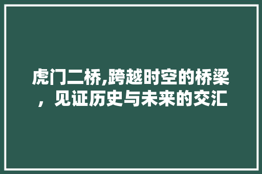 虎门二桥,跨越时空的桥梁，见证历史与未来的交汇