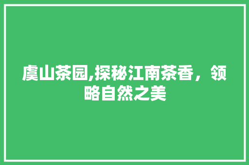 虞山茶园,探秘江南茶香，领略自然之美