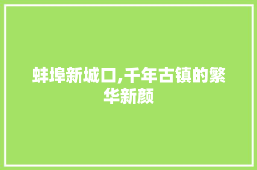 蚌埠新城口,千年古镇的繁华新颜