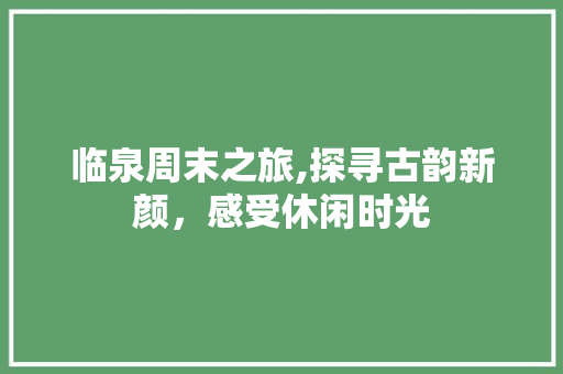 临泉周末之旅,探寻古韵新颜，感受休闲时光