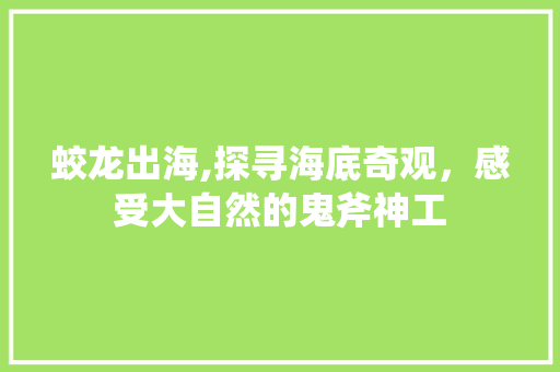 蛟龙出海,探寻海底奇观，感受大自然的鬼斧神工