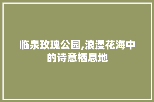 临泉玫瑰公园,浪漫花海中的诗意栖息地