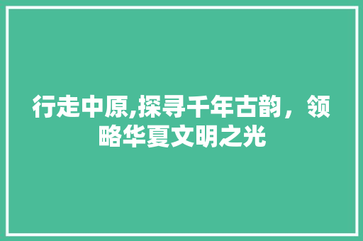 行走中原,探寻千年古韵，领略华夏文明之光  第1张